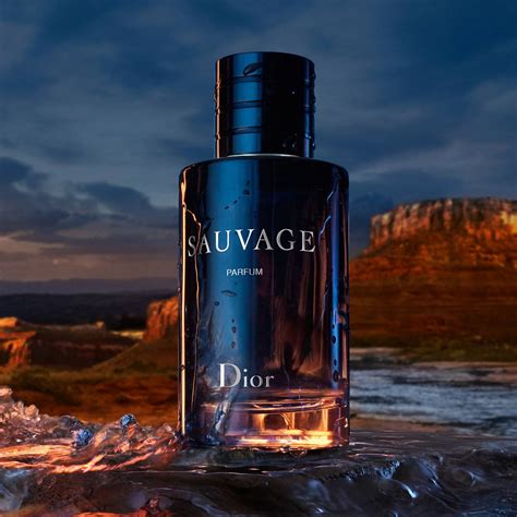 dior sauvage cologne parfum|Dior Sauvage 100ml best price.